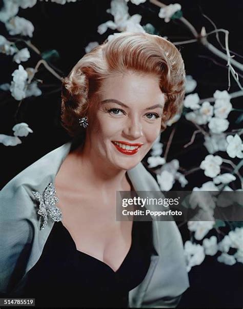 sheree north photos|280 Sheree North Pictures Stock Photos & High